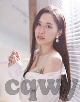 91成人精品视频-与网络伦理，界限与思考
