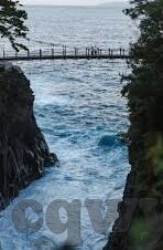 大象传媒伊甸园-探索大象传媒伊甸园，创意与文化的交融之地