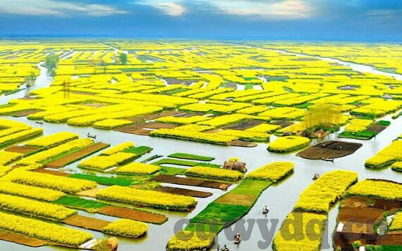 果冻视传媒免费版-探索果冻视传媒免费版，数字时代的娱乐新选择