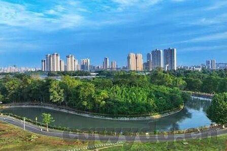 韩国伦理在线伦理-韩国伦理与在线伦理的交织探讨