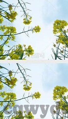 日韩av无码-日韩影视文化中的非成人内容探讨，界限与欣赏